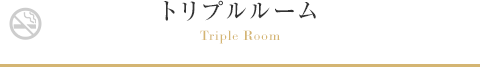 トリプルルーム Triple Room